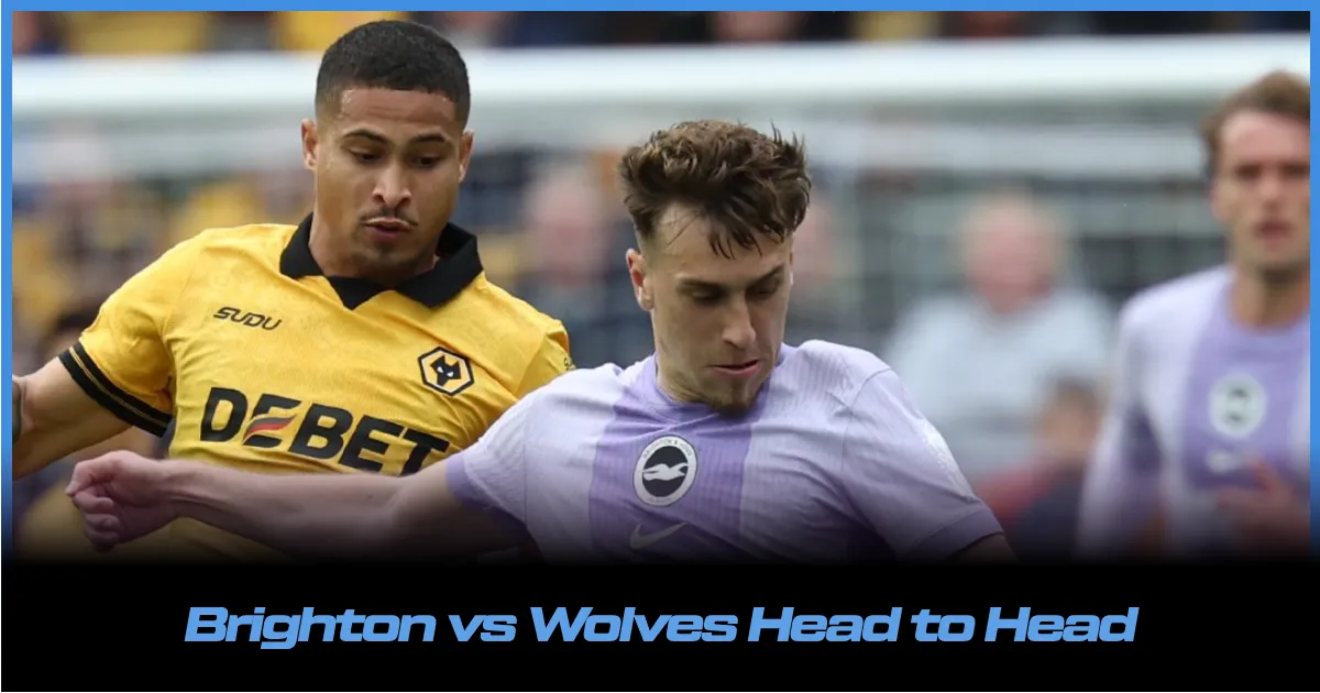 Brighton vs Wolves Head to Head: Overall Stats, Records & Results