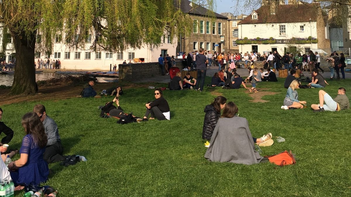 ‘Iconic’ Cambridge park where you can see cows grazing minutes from city centre