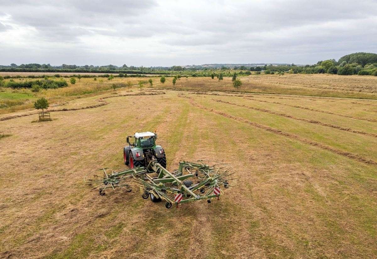 Grasslands: Why they are so important