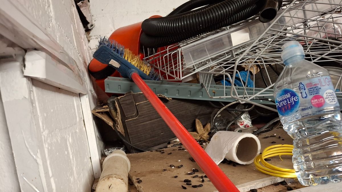 Inside filthy city supermarket fined £3k over ‘rat droppings’ and ‘gnawed food’