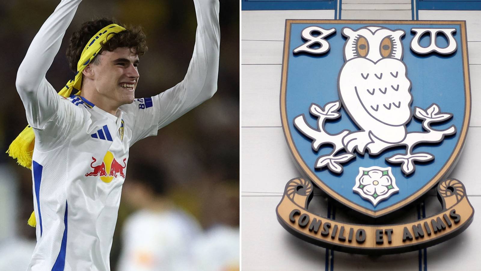 What Leeds United’s Daniel Farke will be doing at Sheffield Wednesday next season