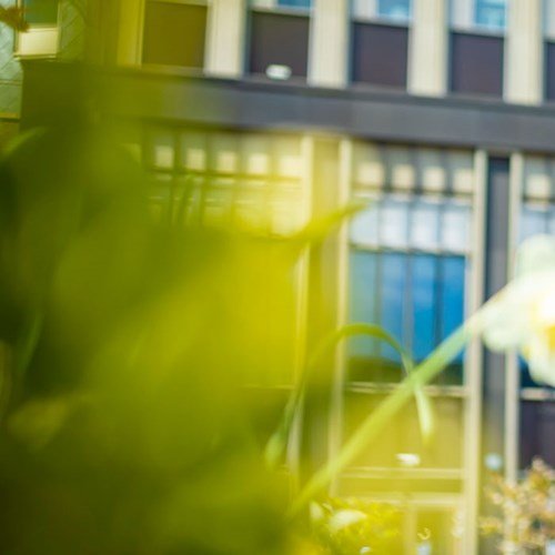 Your Master’s at Leicester: Next Steps Webinar | Events | University of Leicester
